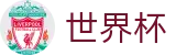 FIFA世界杯足彩（中文）官方授权网站 | 官方中文门户及数字索引